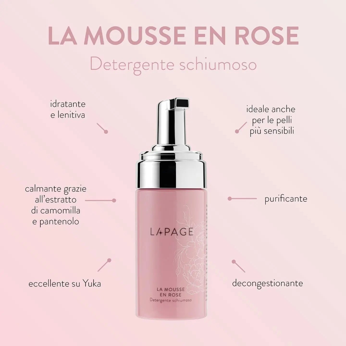 La Mousse En Rose LAPAGE COSMETICS